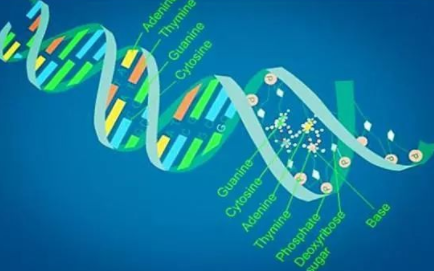 【第二十一期】医学生物信息学公共数据深度挖掘临床应用培训班